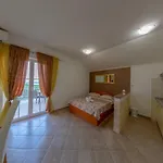 شقة Vesna سكرادين