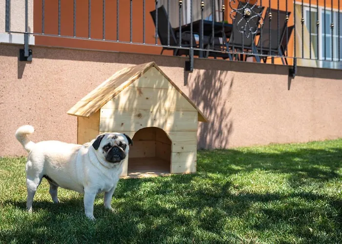 Vesna דירה סקארדין